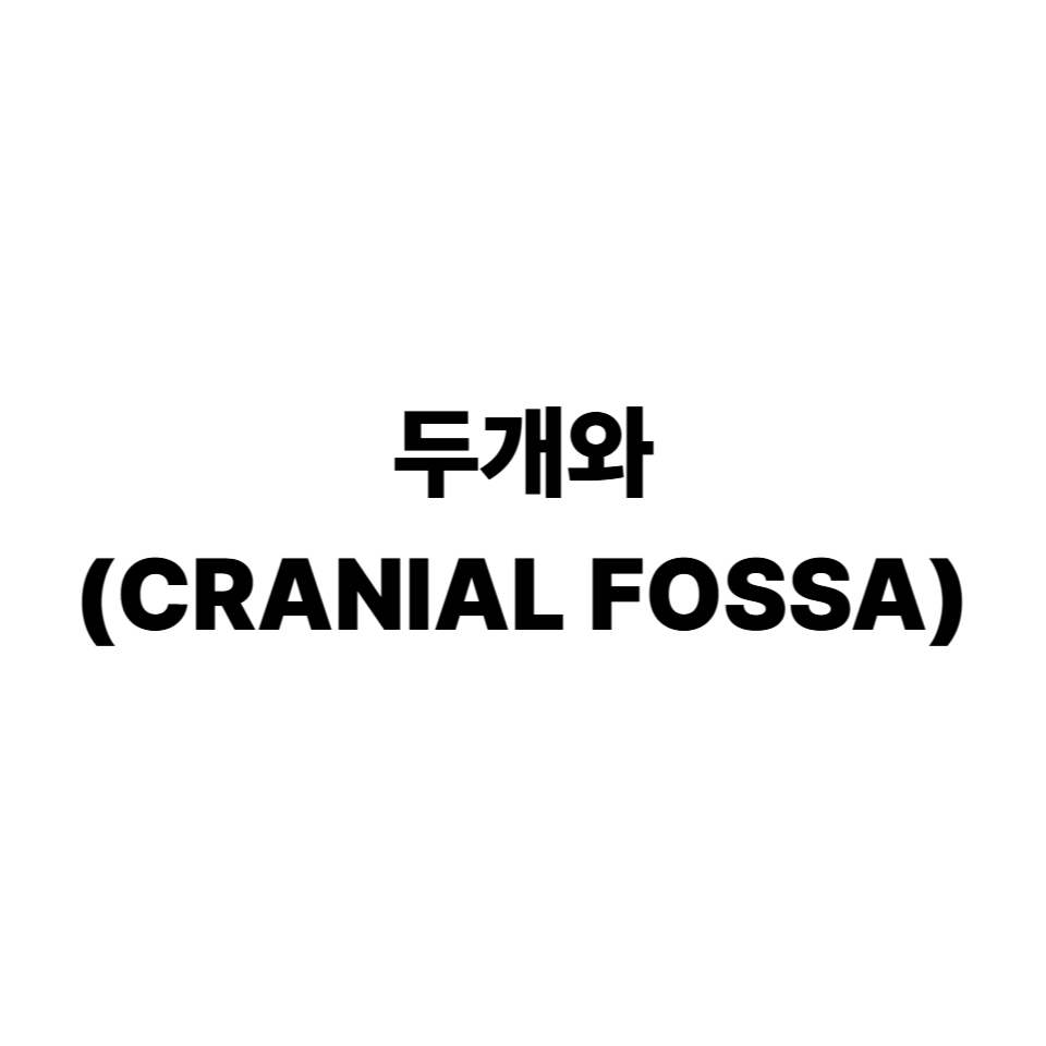 두개와