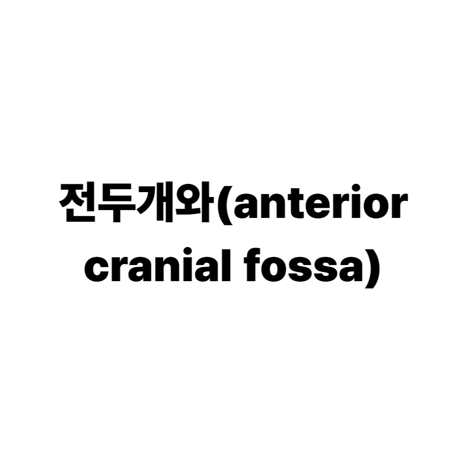 전두개와