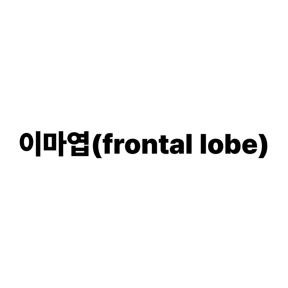 이마엽