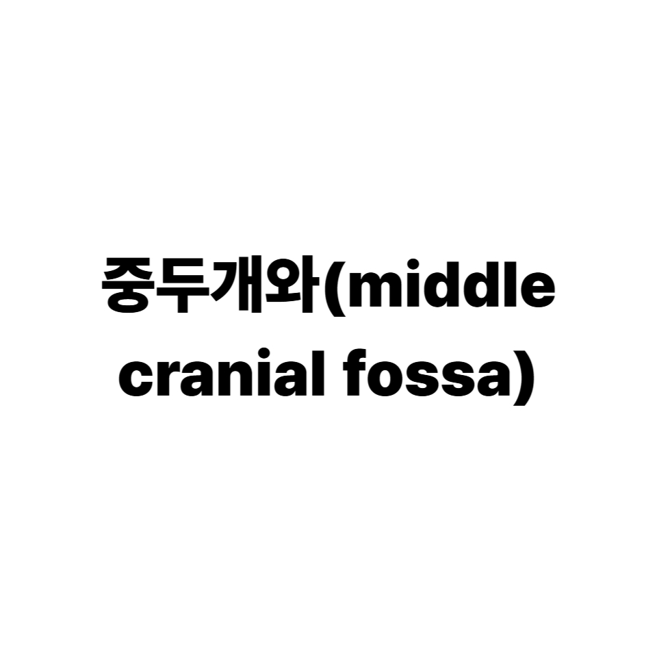 중두개와