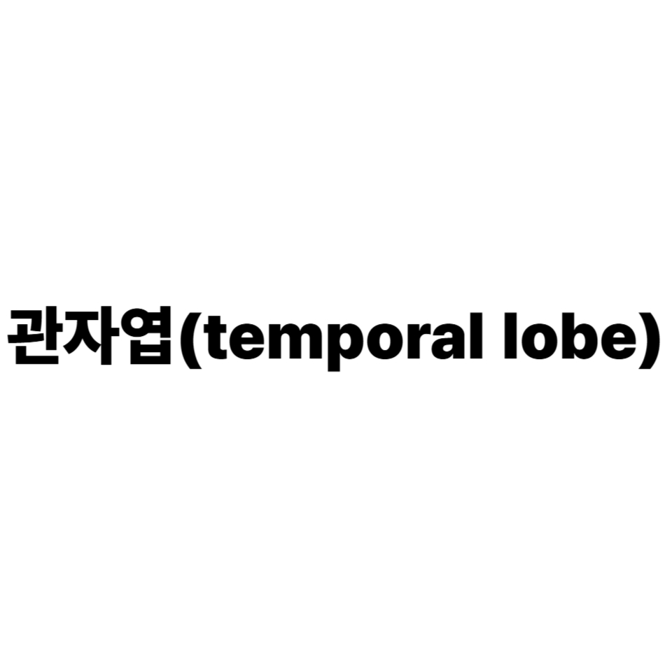 관자엽