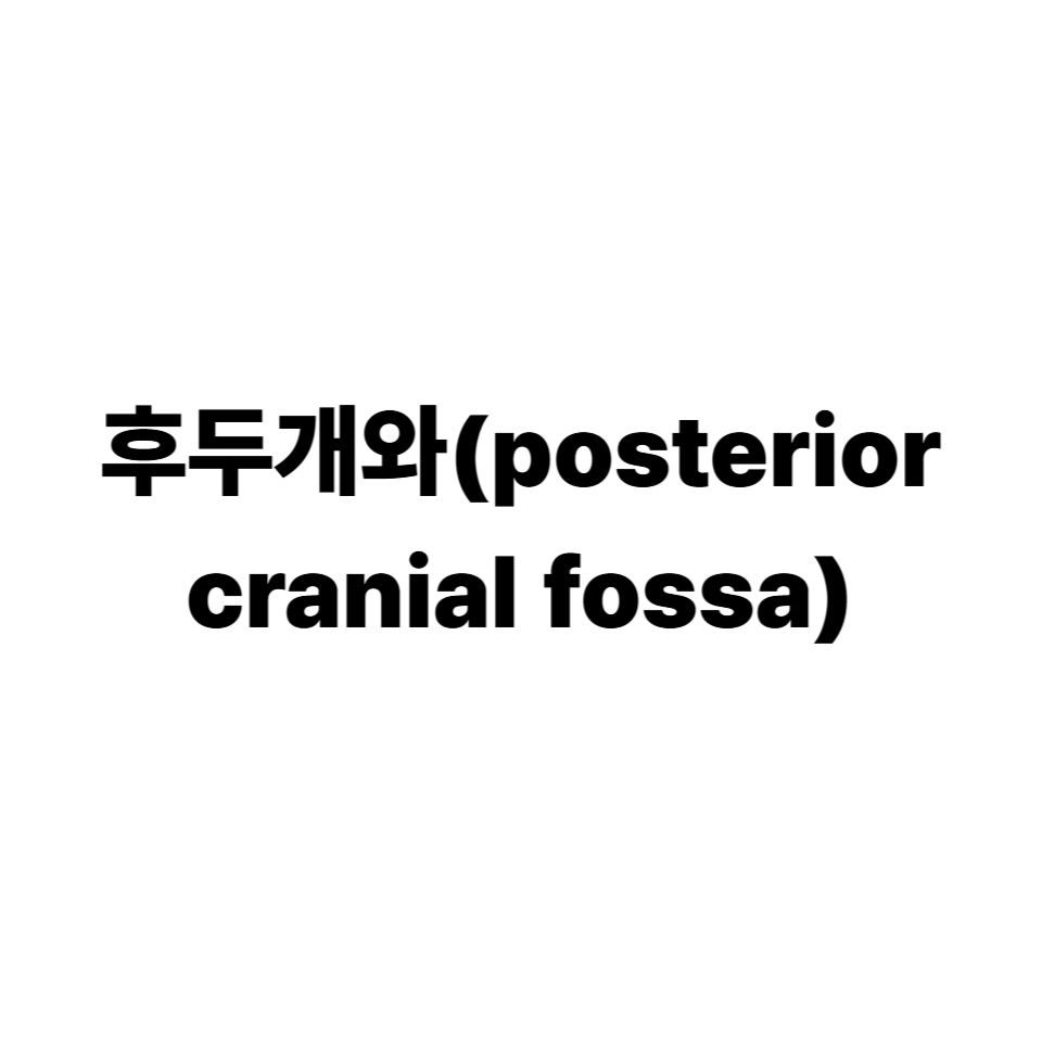 후두개와