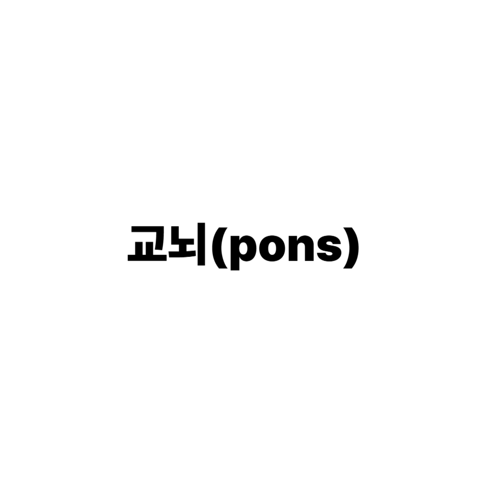 교뇌