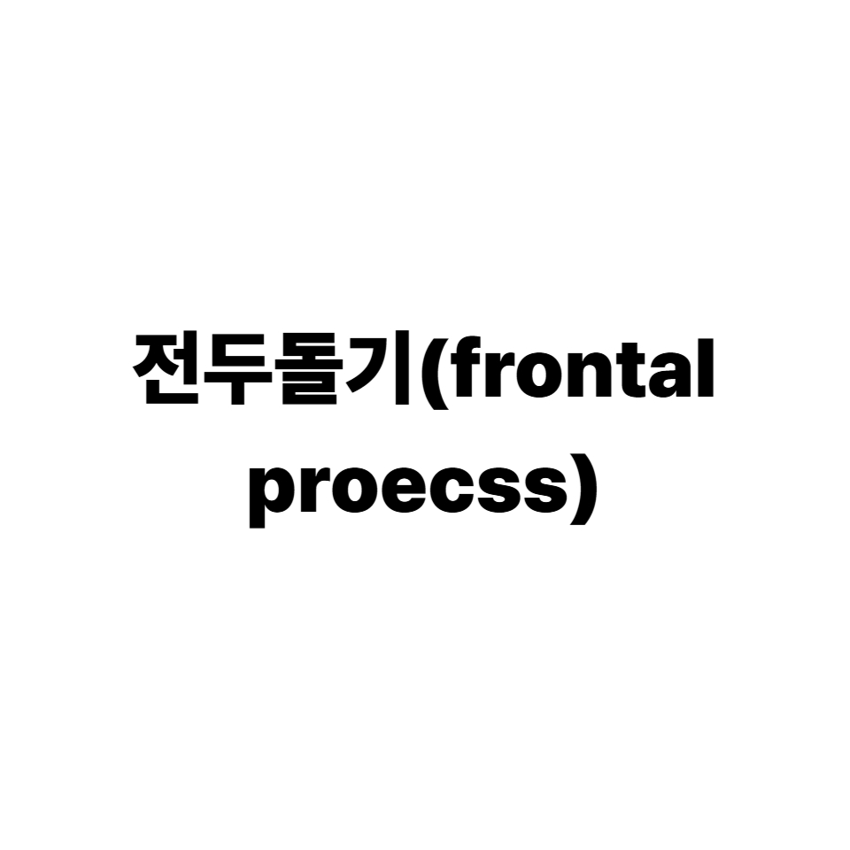 전두돌기