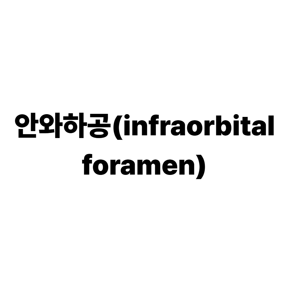 안와하공