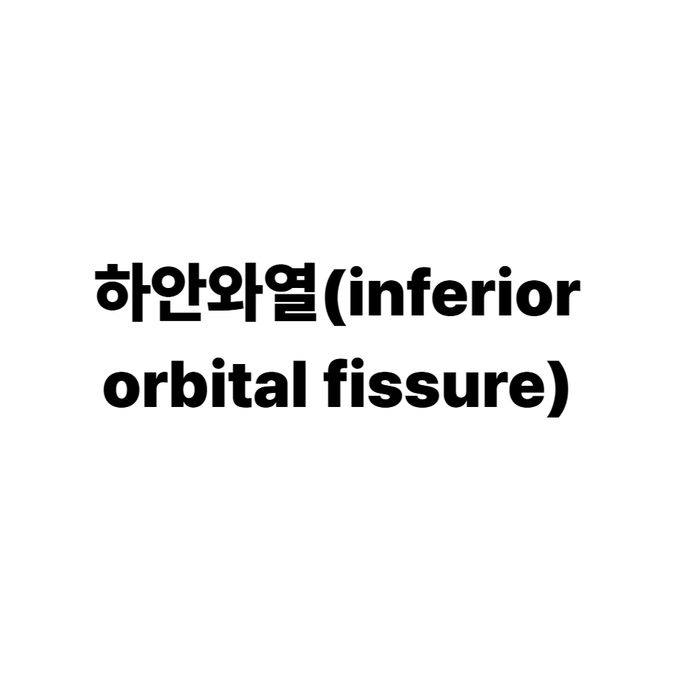 하안와열