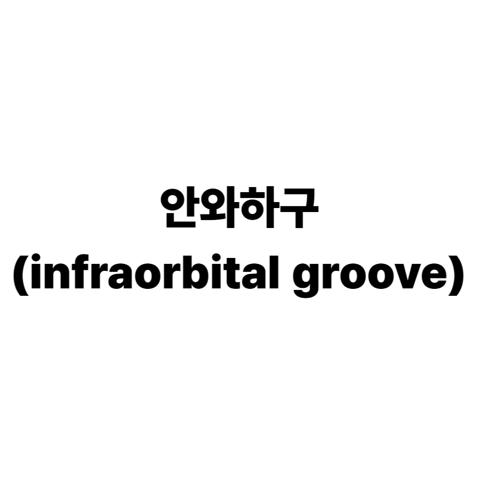 안와하구