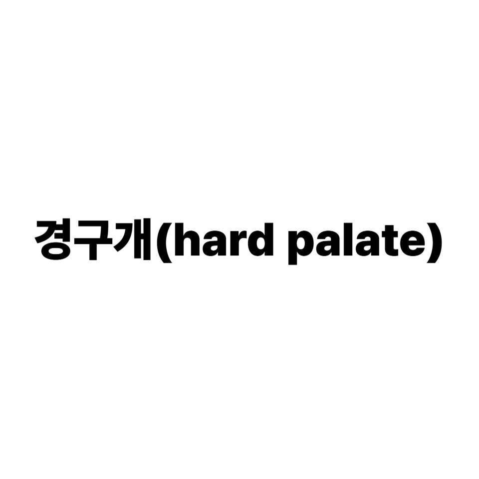 경구개