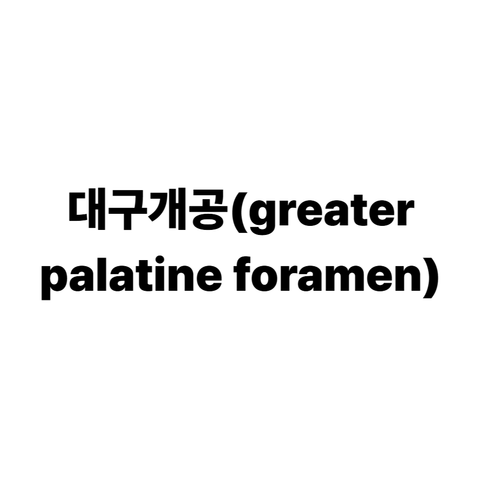 대구개공