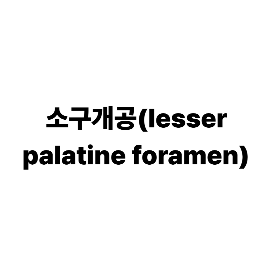 소구개공