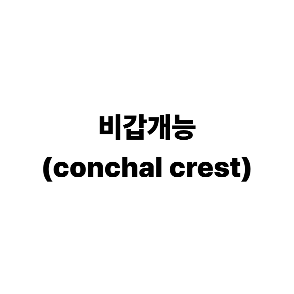 비갑개능