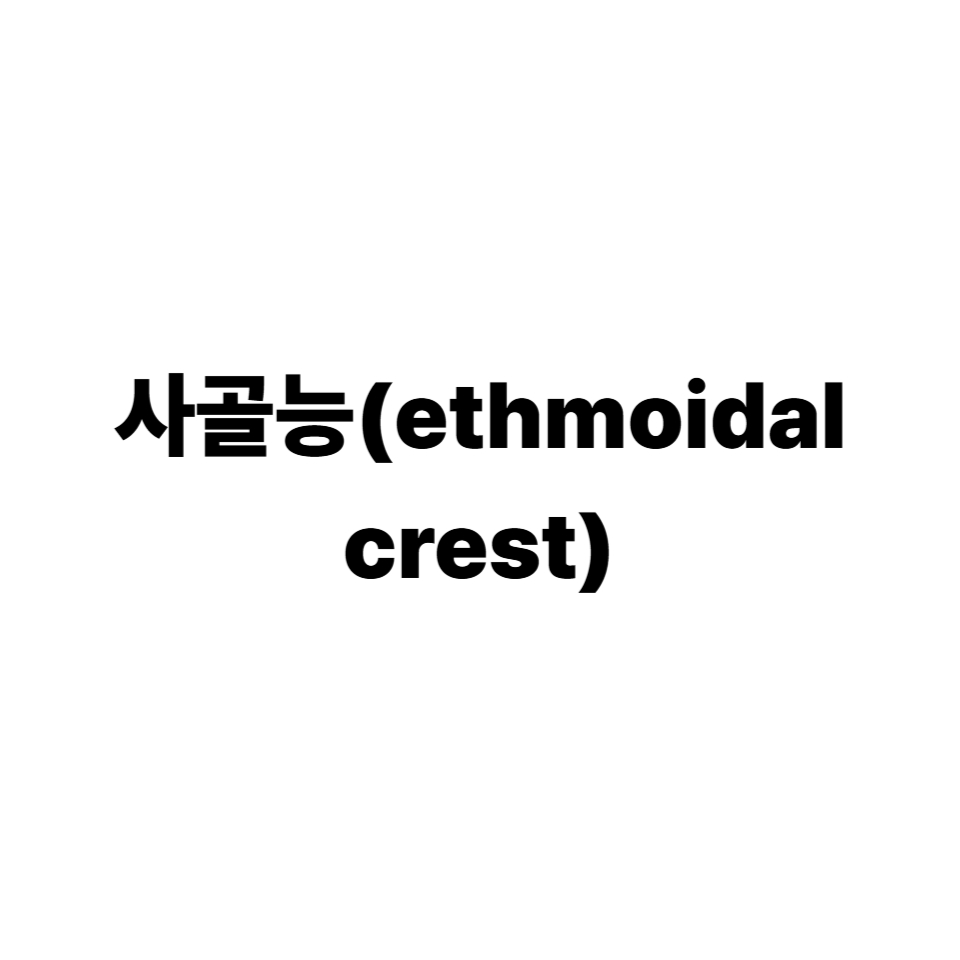 사골능