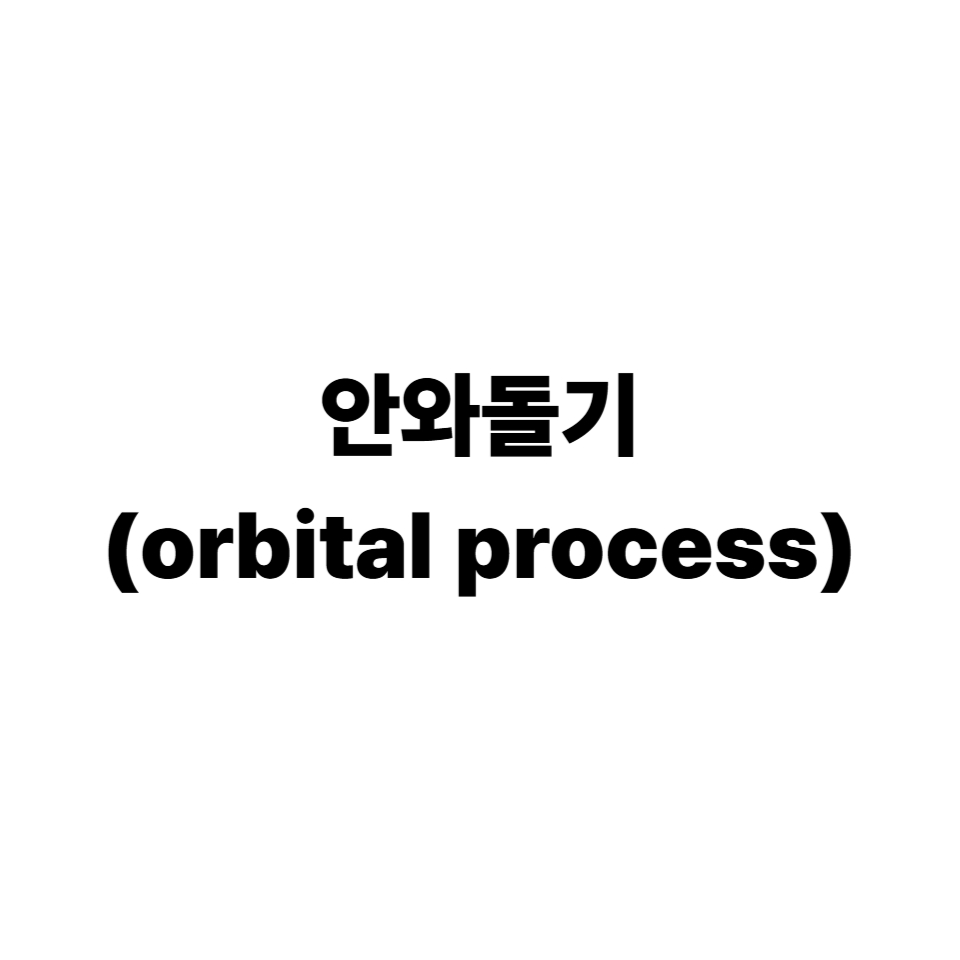 안와돌기