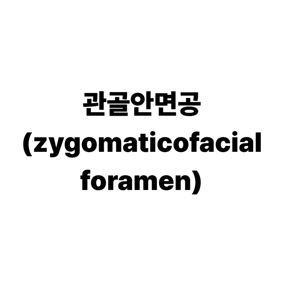 관골안면공