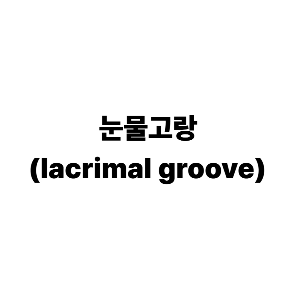 눈물고랑