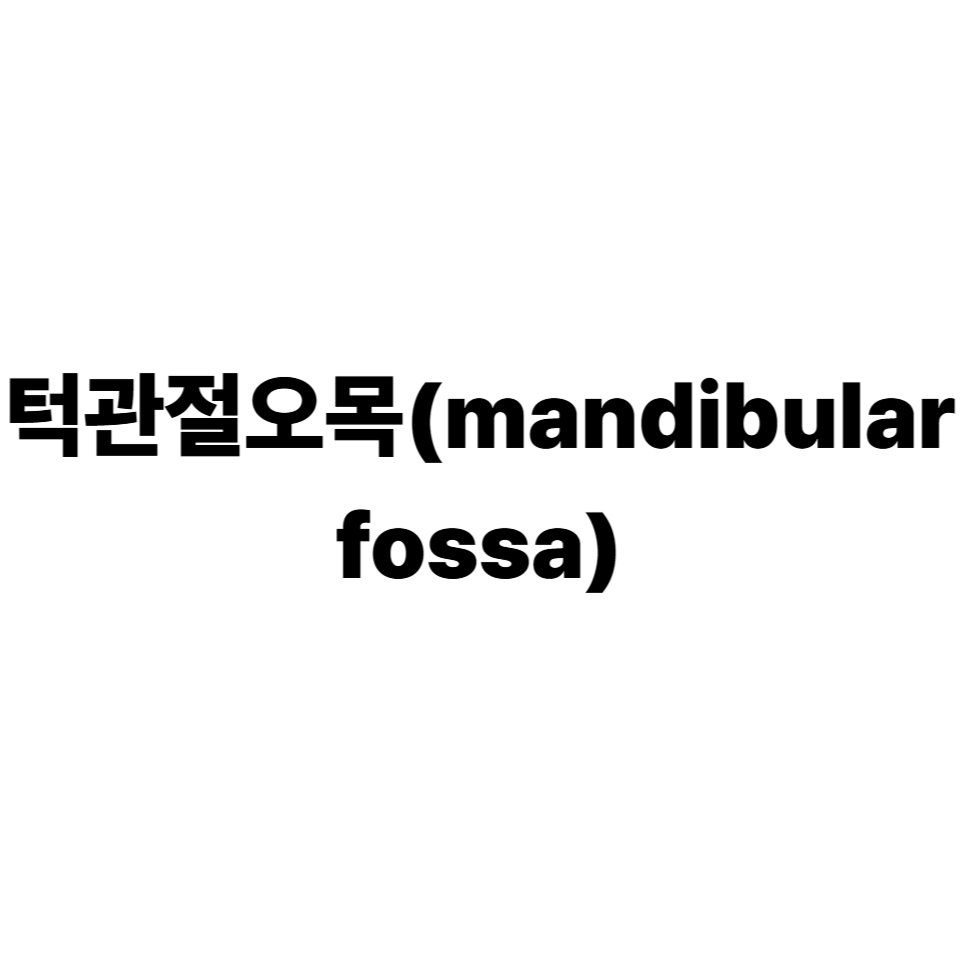 턱관절오목