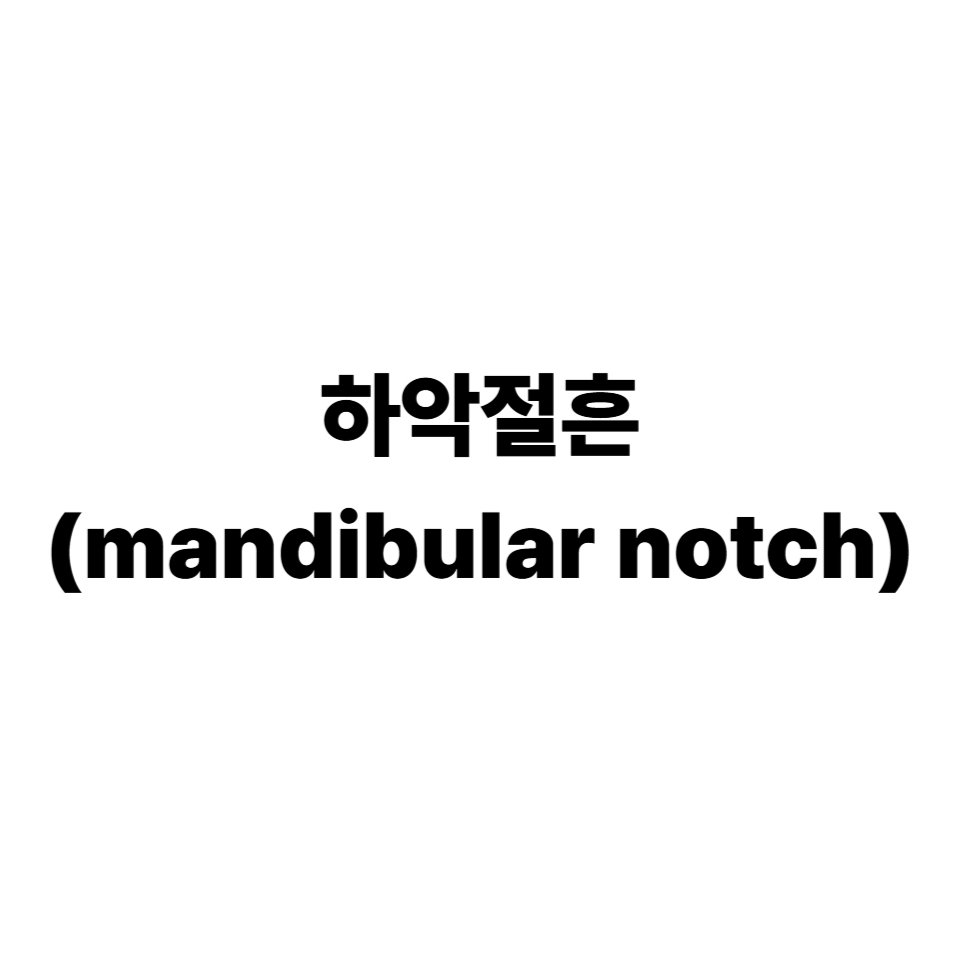 하악절흔