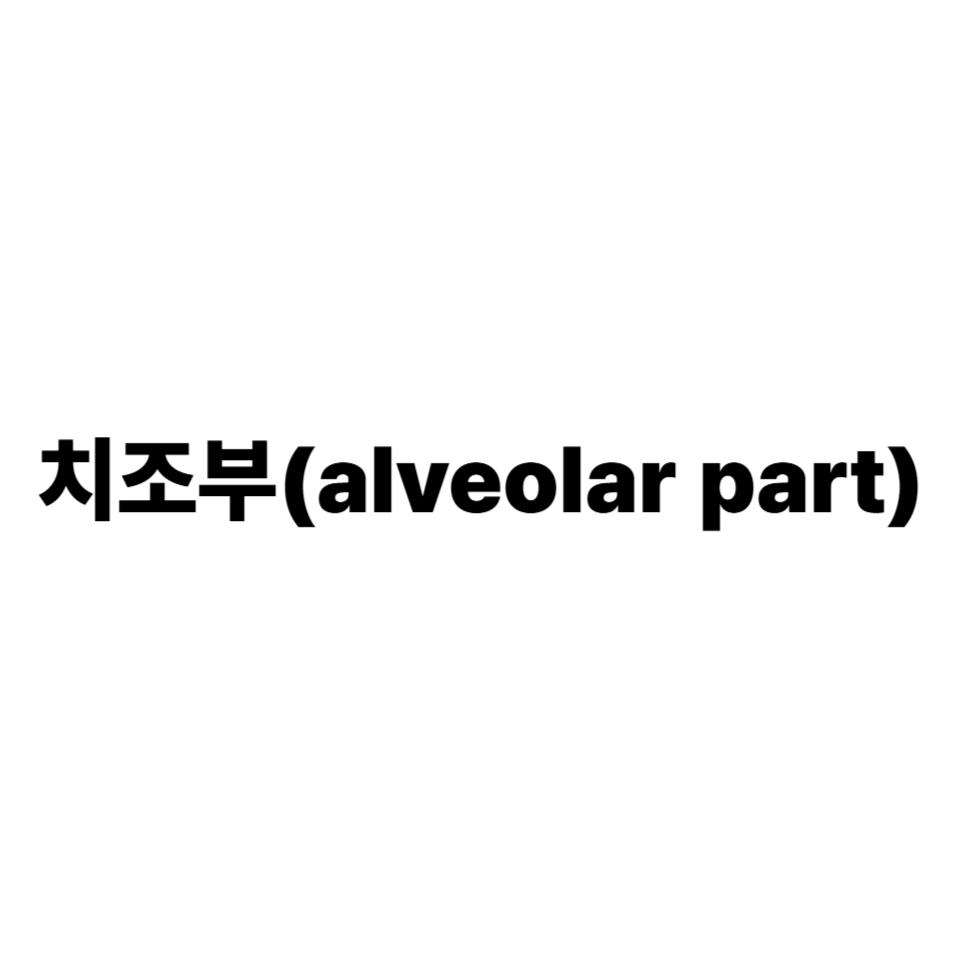 치조부
