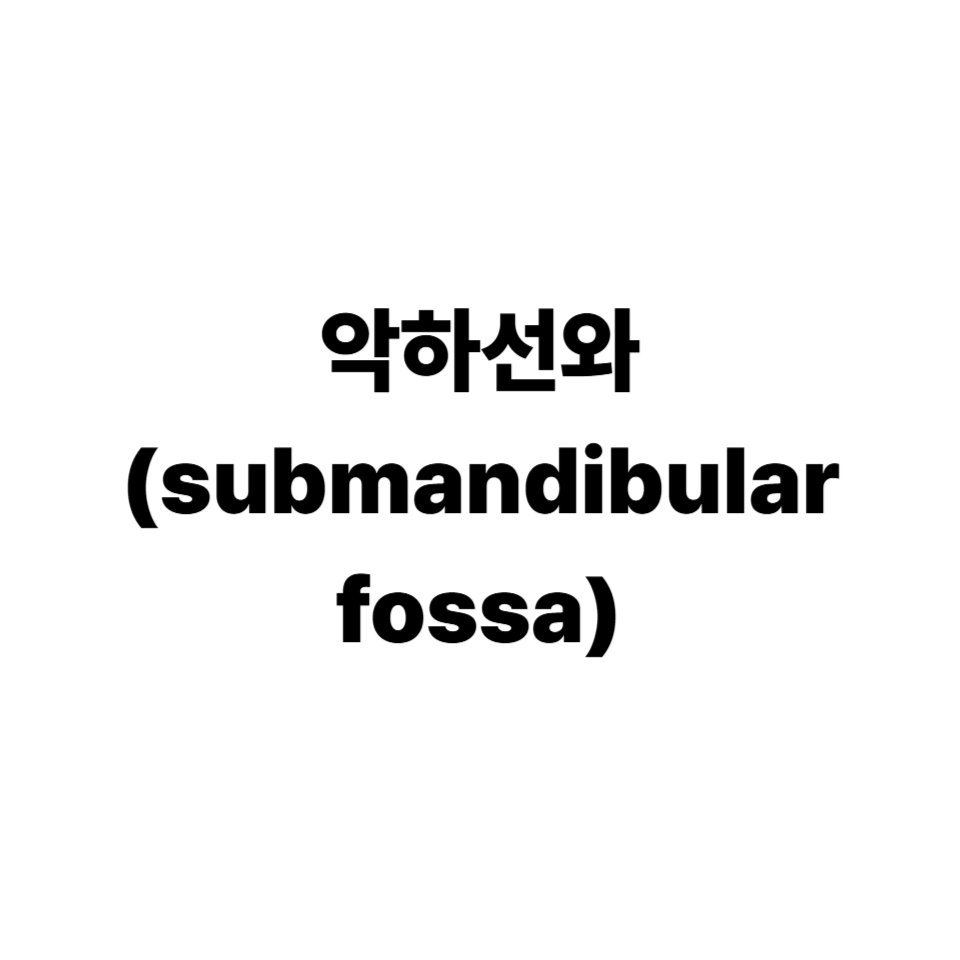 악하선와
