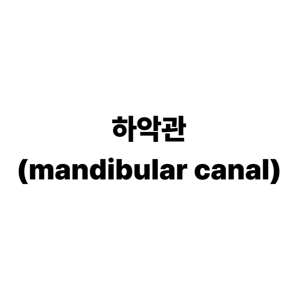 하악관
