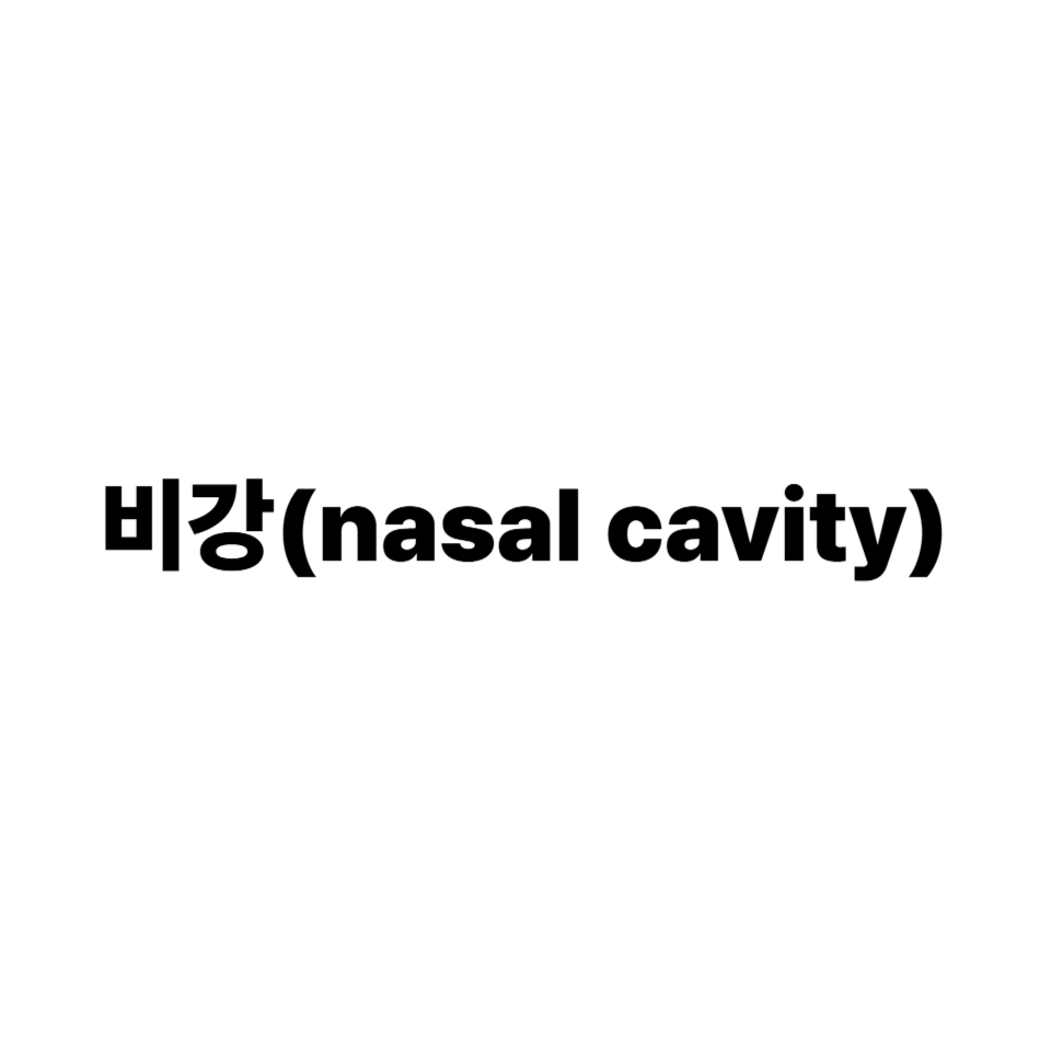 비강