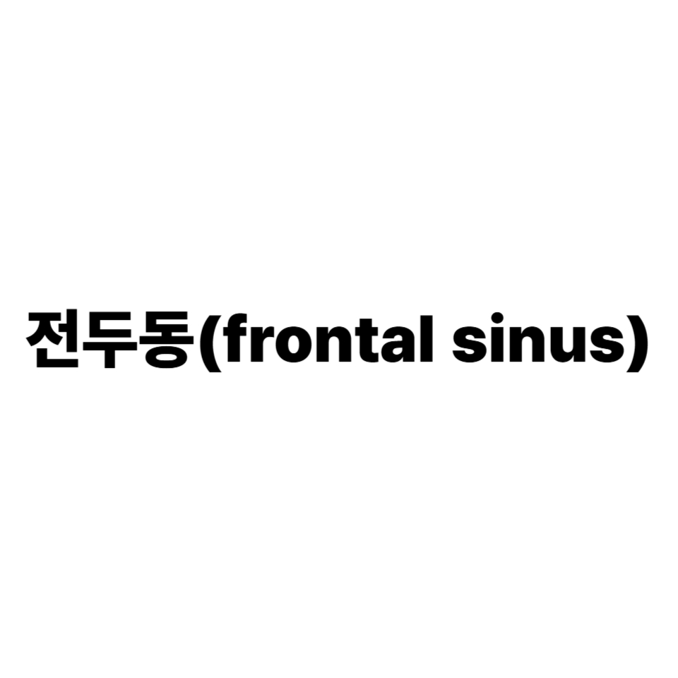 전두동