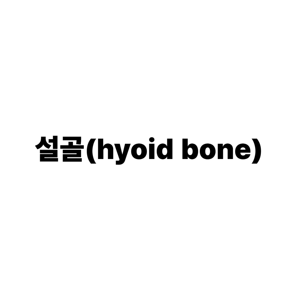 설골