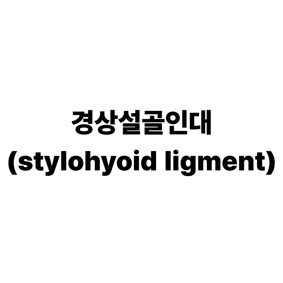 경상설골인대