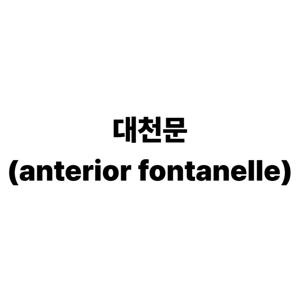 대천문