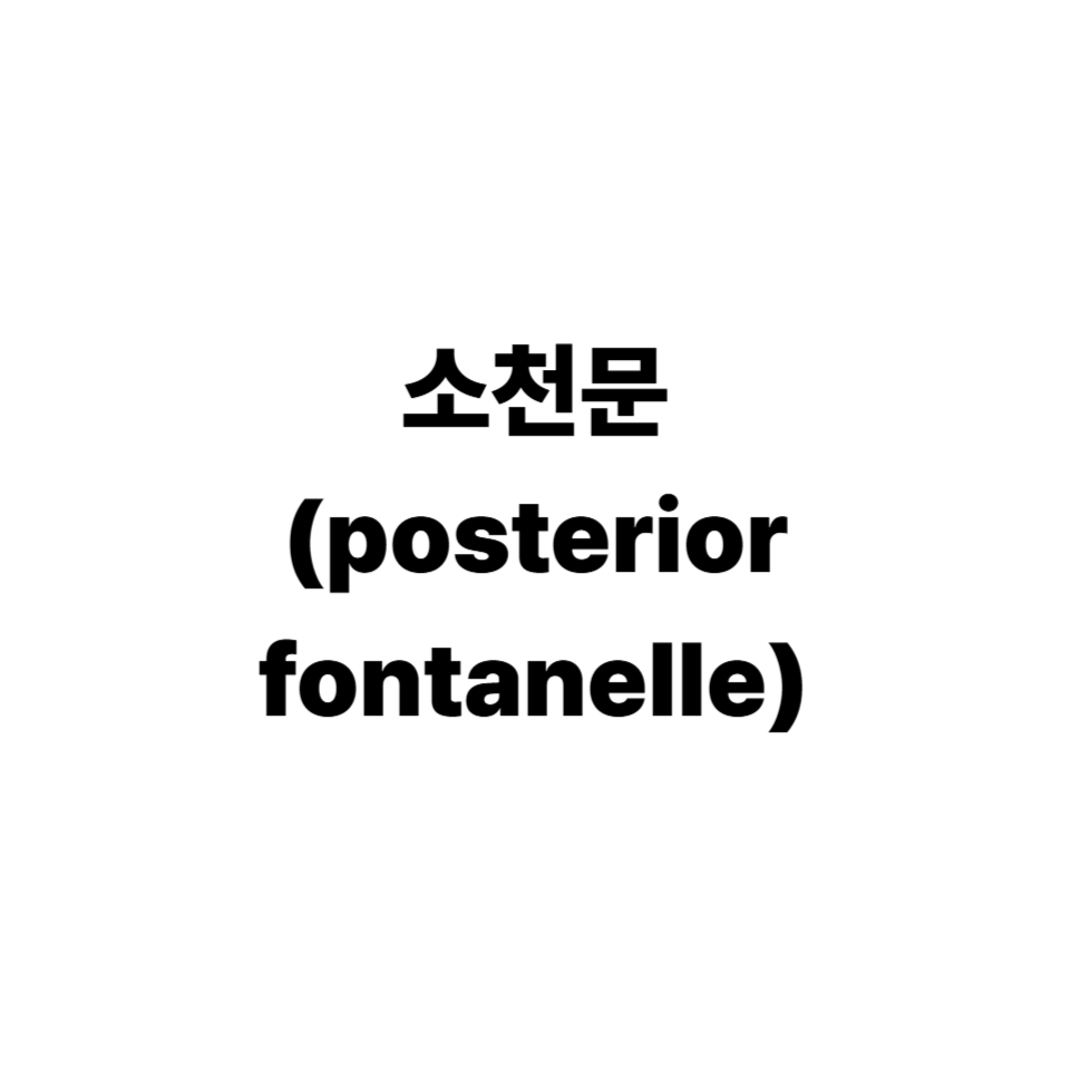 소천문