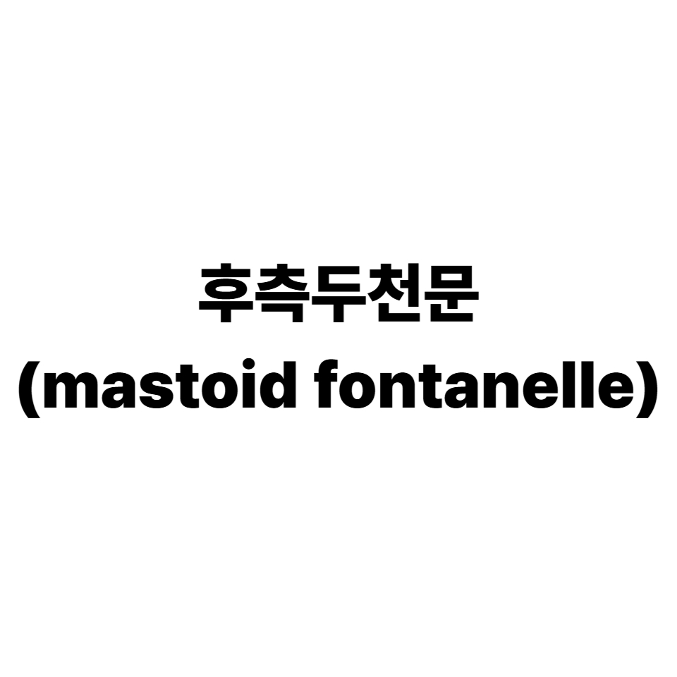후측두천문