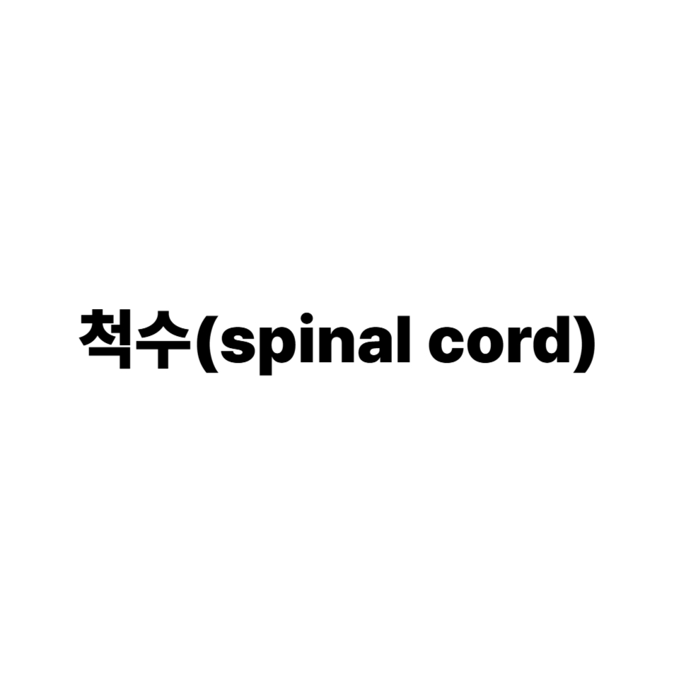 척수