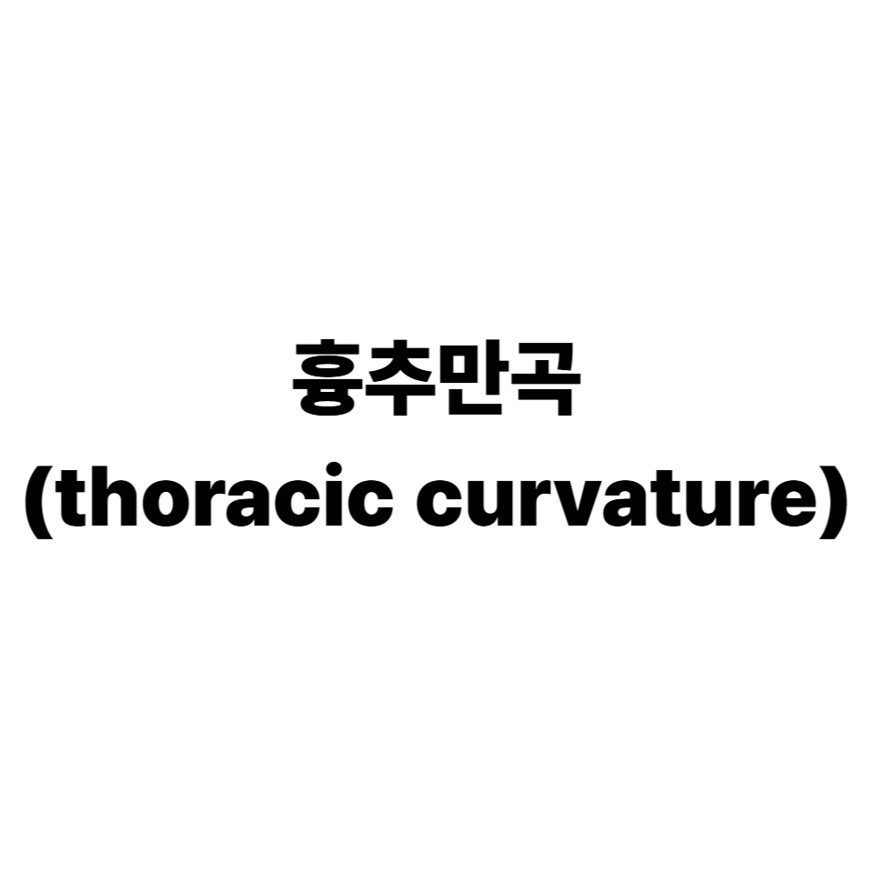 흉추만곡