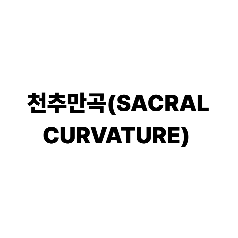 천추만곡