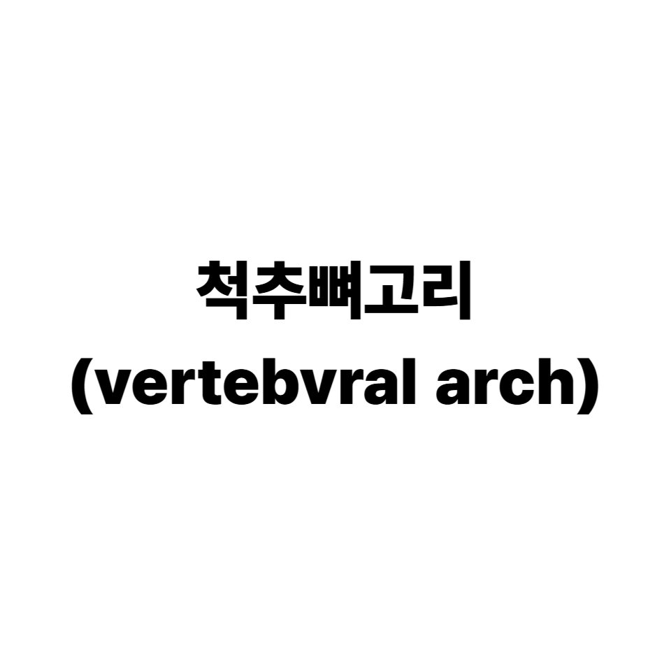 척추뼈고리