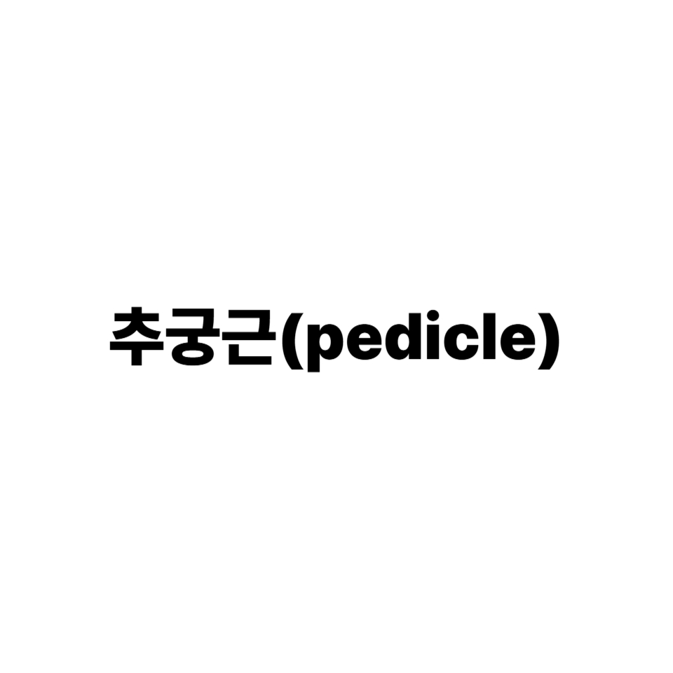 추궁근