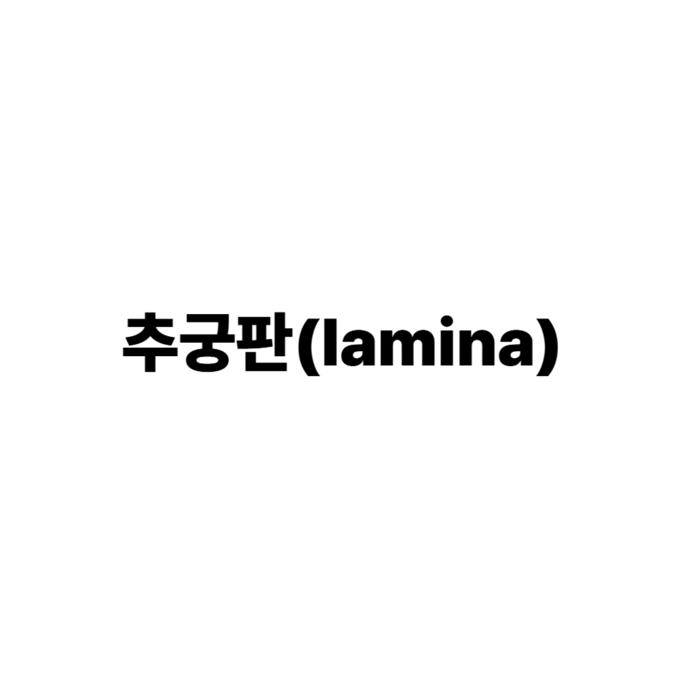 추궁판
