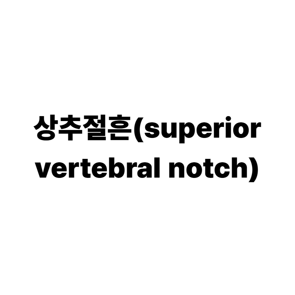 상추절흔
