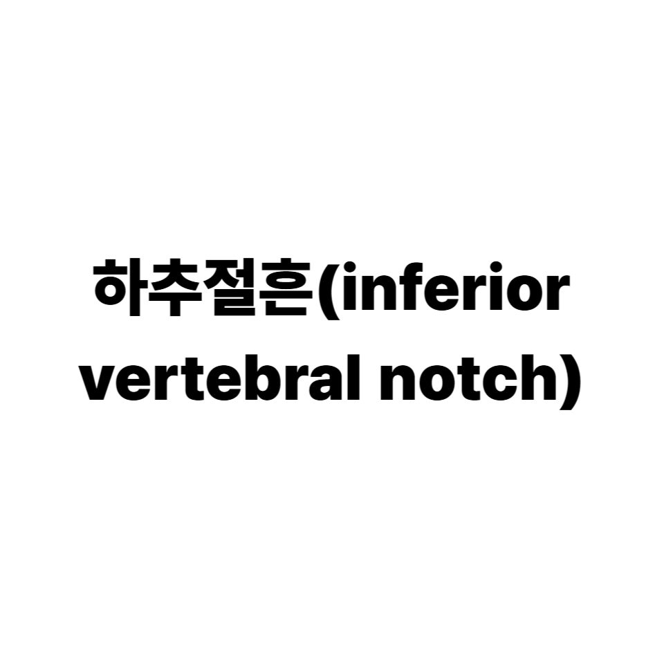 하추절흔