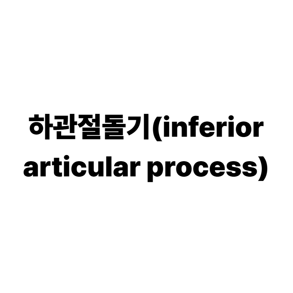 하관절돌기