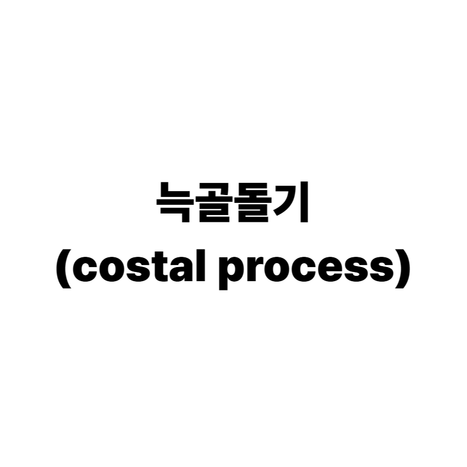 늑골돌기