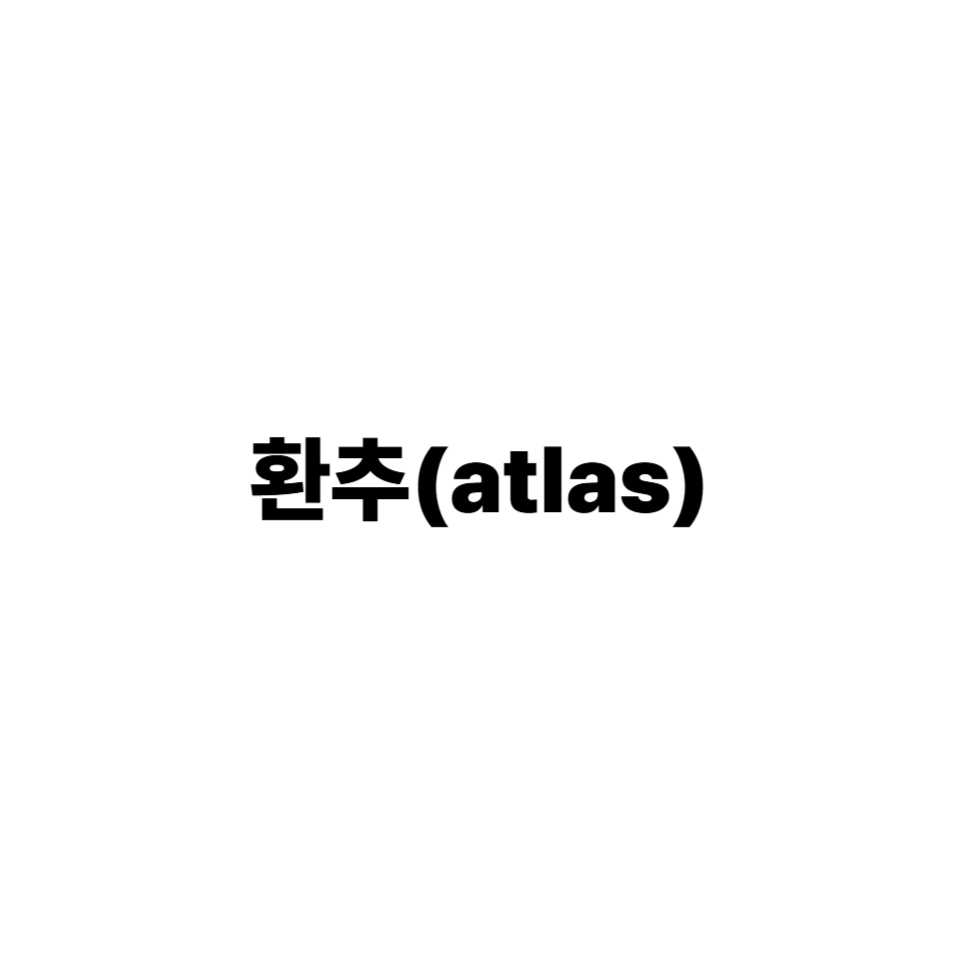 환추