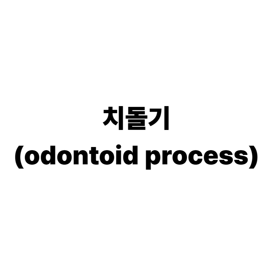 치돌기