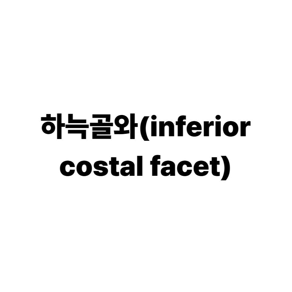 하늑골와