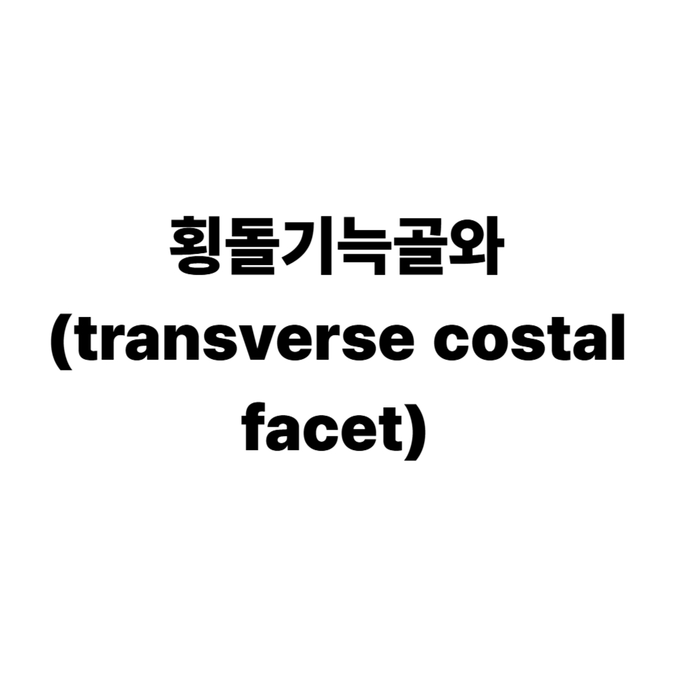 횡돌기늑골와