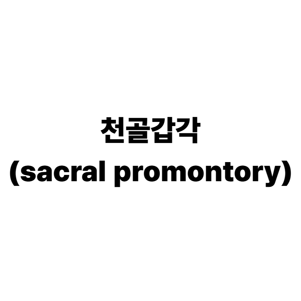 천골갑각