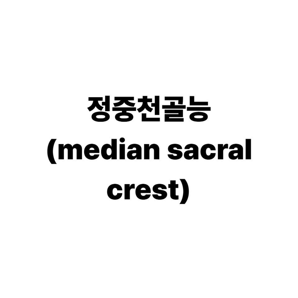 정중천골능