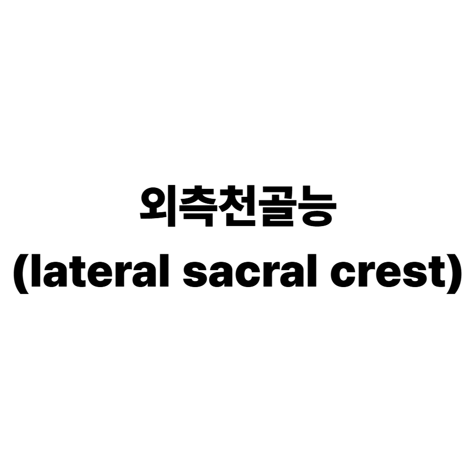 외측천골능