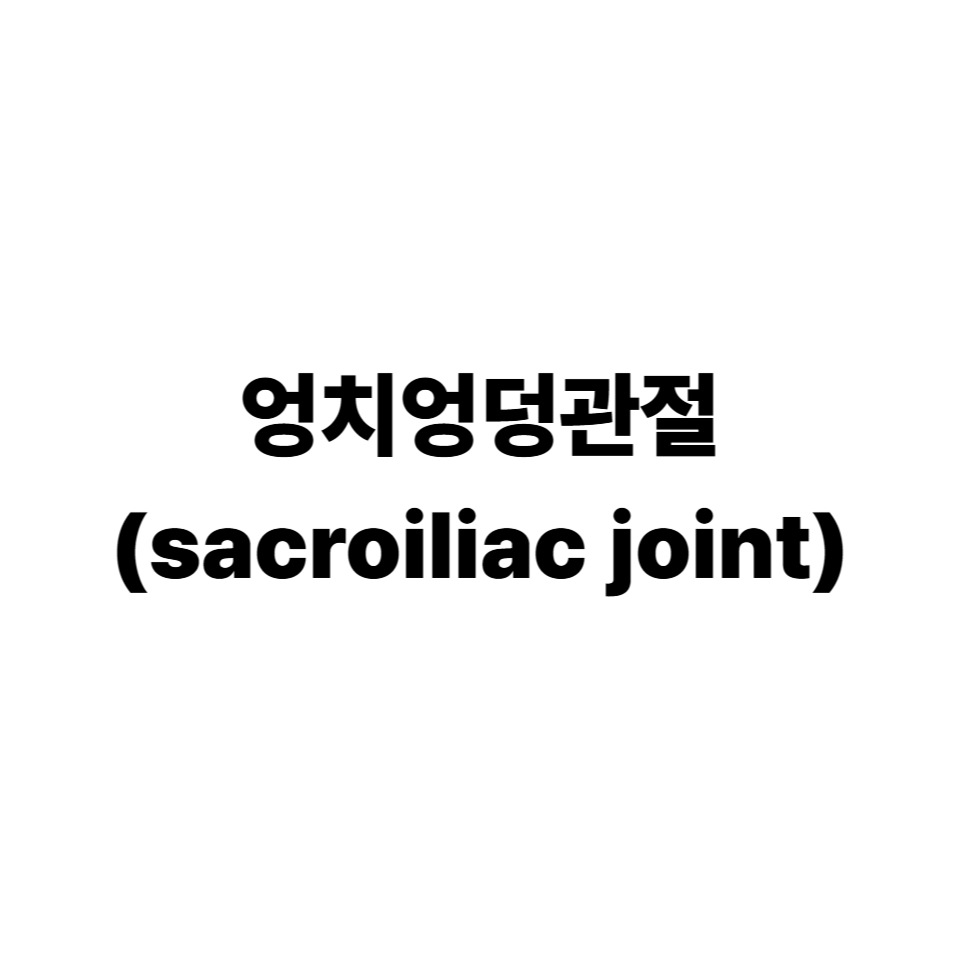 엉치엉덩관절