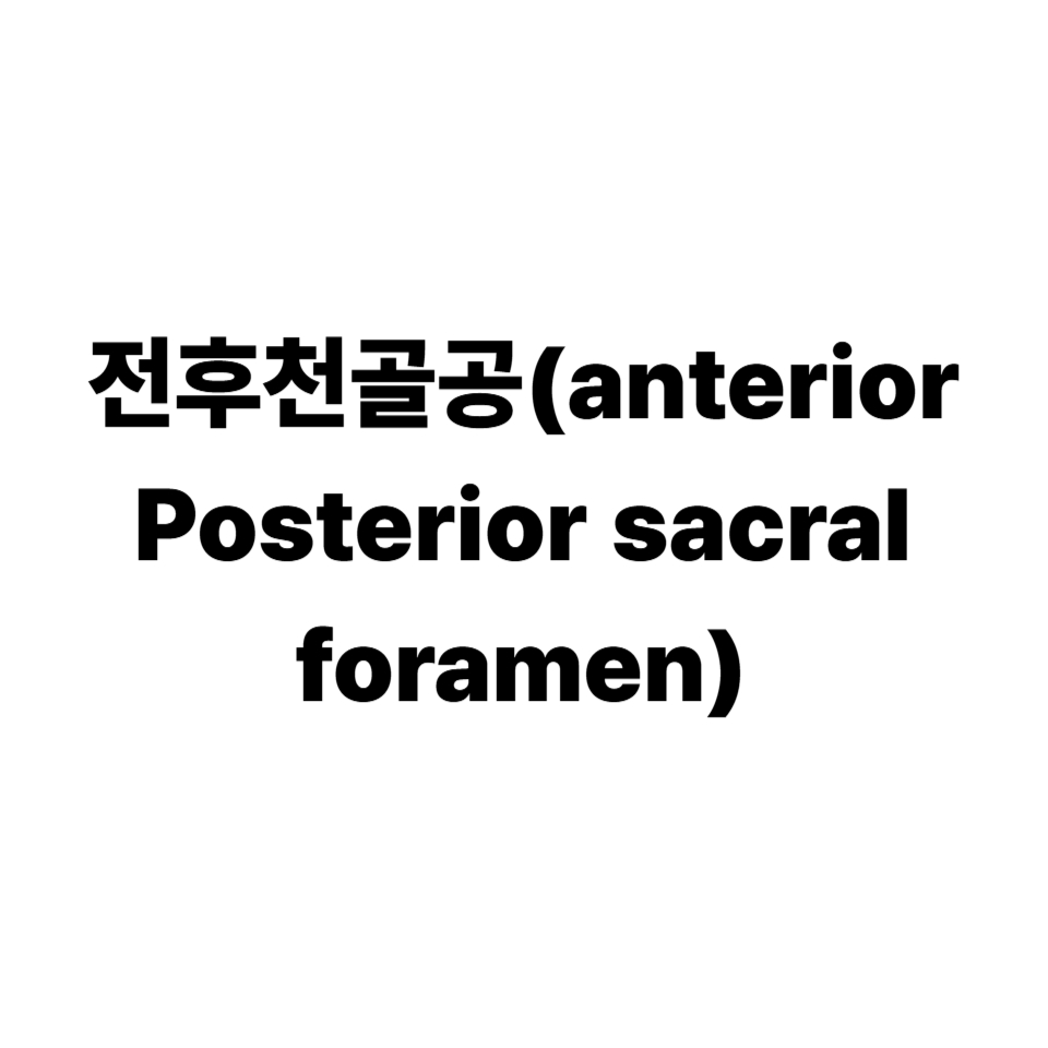 전후천골공